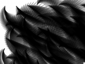 image_48